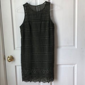 Abercrombie Shift Dress NWOT